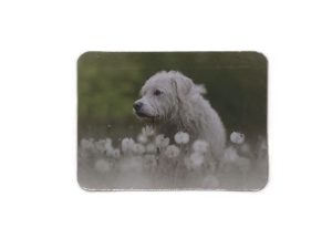Magneet met foto