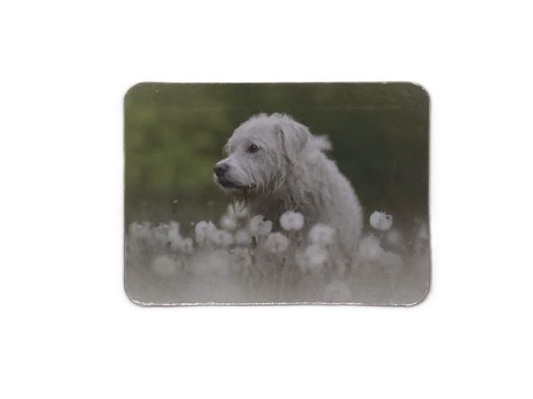 Magneet met foto
